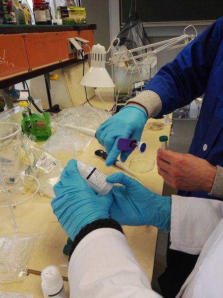 File:20170118 111418.jpg