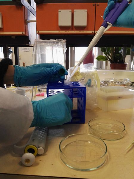 File:20170118 111931.jpg