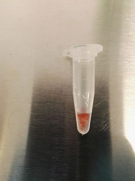 File:20170118 113340.jpg