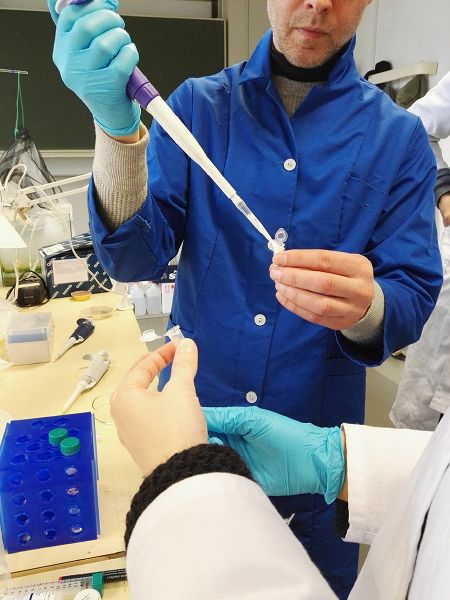 File:20170118 120807.jpg