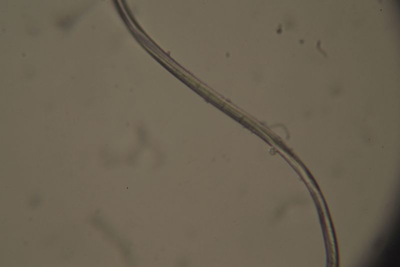 File:2018 12 18 0087.JPG