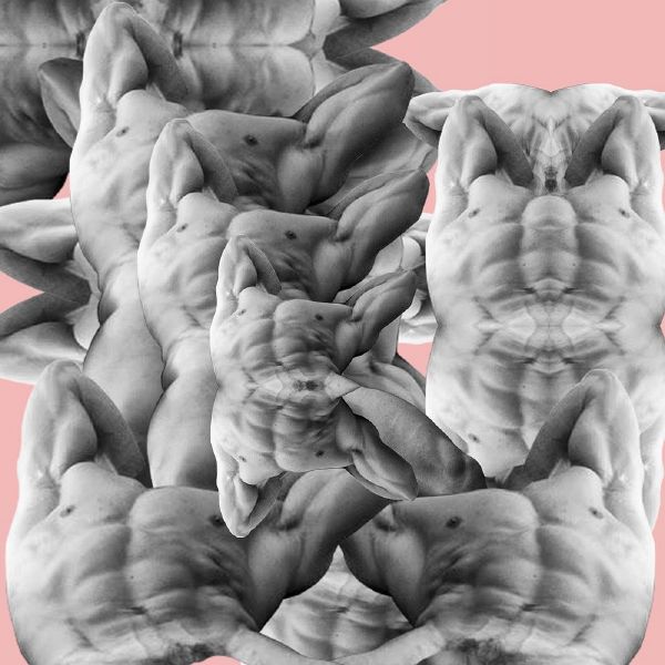 File:20200329 000241 577.jpg