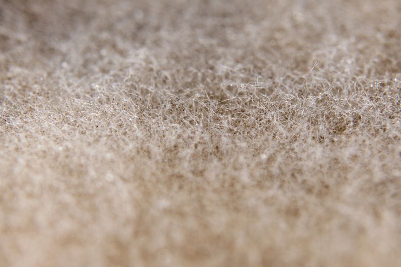 File:2022-11-28-Sauerkraut-Juice-Funghi-Close-Up-Danz-Melcher-BioArtForum-Katja-Buehler-DSCF7760.jpg
