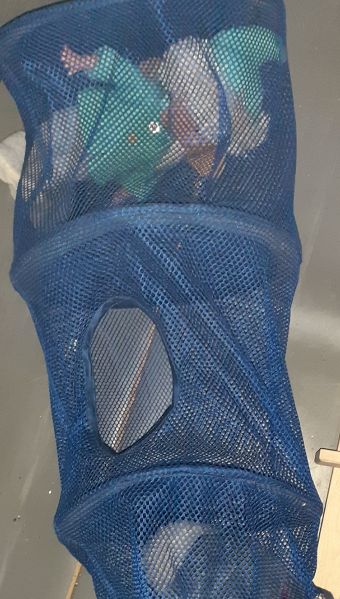 File:20221106 121352.jpg