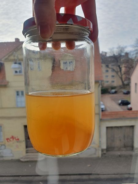 File:20230210 134842.jpg