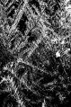 Thumbnail for version as of 16:58, 17 December 2012