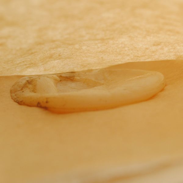 File:2999 copy.jpg