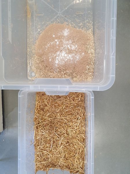File:2 Preparation of 3 different mixtures.jpg