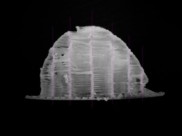 3DIY Prototyp 1 2.jpg