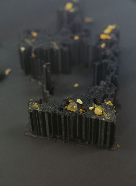 File:3D Printed Physarum Polycephalum.jpg