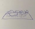 Thumbnail for version as of 14:00, 4 January 2022