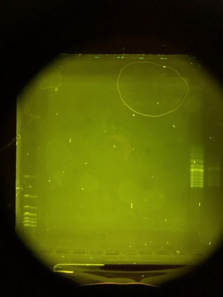 File:3round 6v-60min.jpg