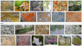 Thumbnail for version as of 12:28, 24 May 2016