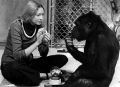 Penny with Koko. Source: http://d2rights.blogspot.de/2012/09/koko-talking-gorilla-1978.html]]