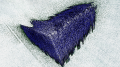 Thumbnail for version as of 23:45, 20 March 2019