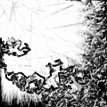 Thumbnail for version as of 20:32, 29 November 2018