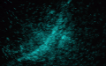 Thumbnail for version as of 20:30, 29 November 2018