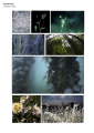 Thumbnail for version as of 18:14, 8 November 2022