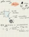 Thumbnail for version as of 10:11, 25 June 2014