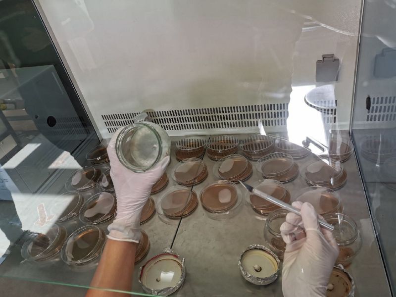 File:AddingMtojars1.jpg