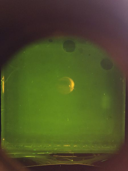 File:After 50hours gelElectrophoresis.jpg