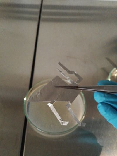 Agar1confolio.jpg