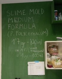 Agar agar recipe.jpg