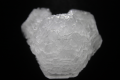 Thumbnail for version as of 17:10, 7 April 2016