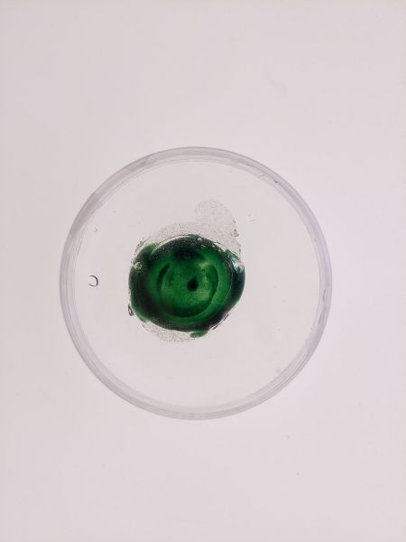 File:Algenate1.jpg