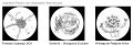 Thumbnail for version as of 18:58, 31 July 2010