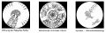 Thumbnail for version as of 19:06, 31 July 2010