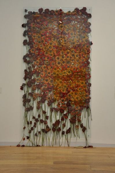 File:Anya Gllaccio.jpg