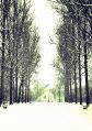 Thumbnail for version as of 14:06, 22 February 2016