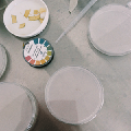 Thumbnail for version as of 21:38, 5 May 2015