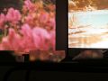 Thumbnail for version as of 11:00, 8 April 2013