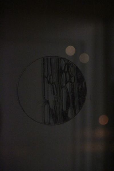 File:Atlas8.jpg