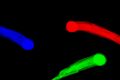 Thumbnail for version as of 18:12, 17 January 2011
