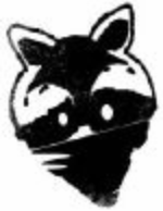 Waschbär