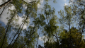 Thumbnail for version as of 22:03, 28 April 2014
