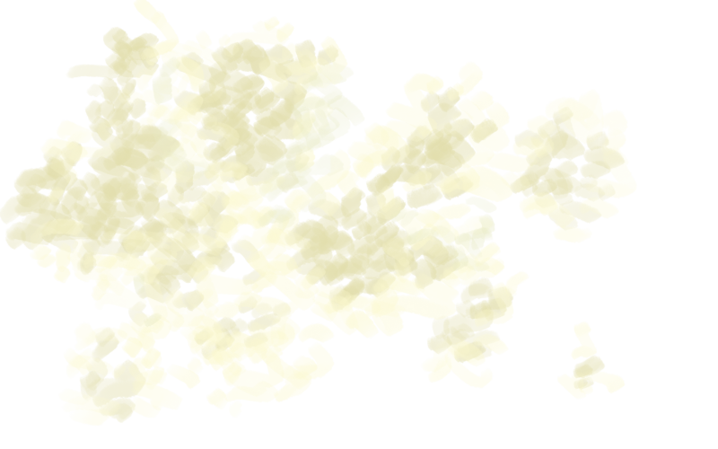 File:Bacteria 1.png