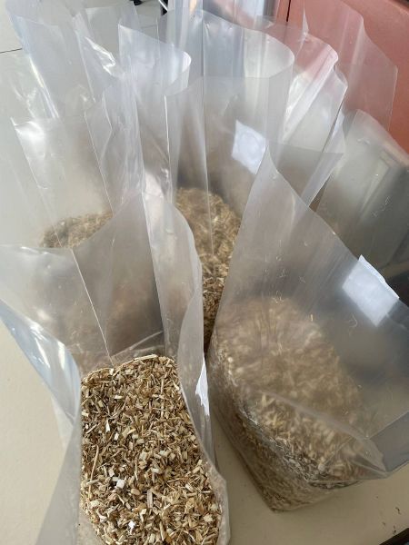 File:Bags1.jpg