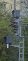 Thumbnail for version as of 17:03, 1 May 2026
