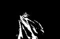 Thumbnail for version as of 23:15, 16 June 2021
