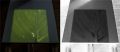 Thumbnail for version as of 16:08, 7 January 2013