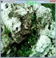 Thumbnail for version as of 15:40, 14 December 2015