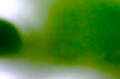 Thumbnail for version as of 08:19, 26 November 2012