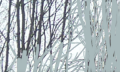 Thumbnail for version as of 14:49, 9 February 2018