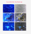 Thumbnail for version as of 11:07, 8 November 2018