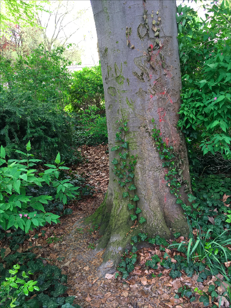 File:Bildschirmfoto 2021-05-13 um 12.18.37.png