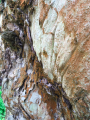 Thumbnail for version as of 09:47, 16 May 2021